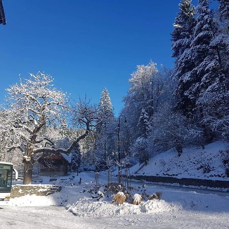 Sloneczna Hotel Miedzygorze Luaran gambar